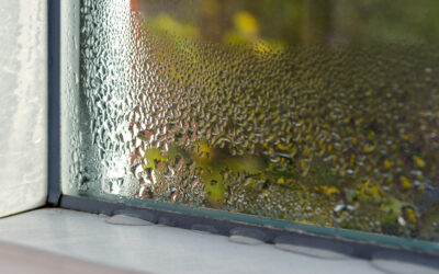 Why Your AC Smells Musty in Central Florida’s Humidity (And How to Fix It)